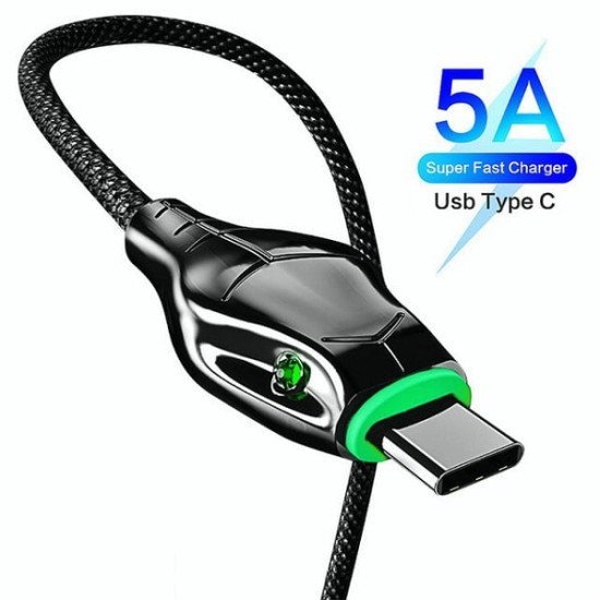 Aspor A197 Dragon Fast Charging Data Cable 2.4A Type-C